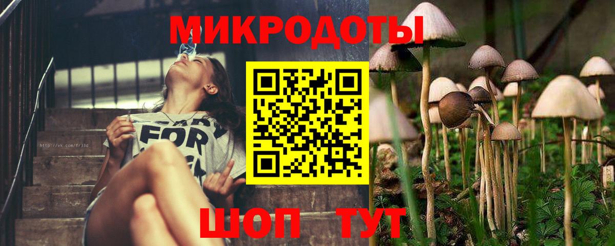 Псилоцибиновые грибы Magic Shrooms  Галлюциногенные грибы мухоморы  Ялта  Вход с VPN 